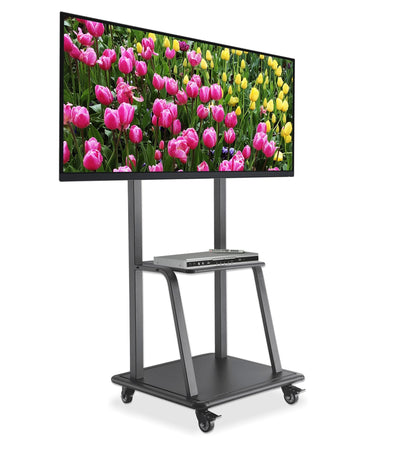 Supporto Universale da Pavimento per TV 37-100''