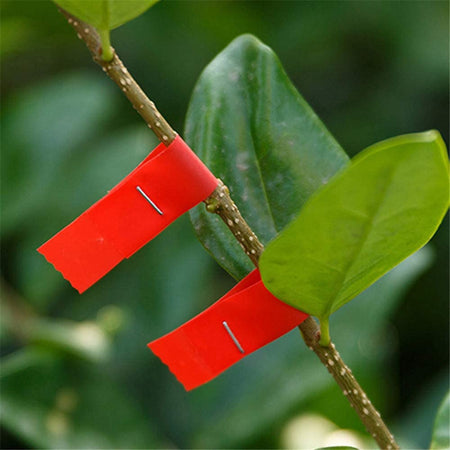 Nastro legatura colorato per pinza legatrice confezione da 10 pz