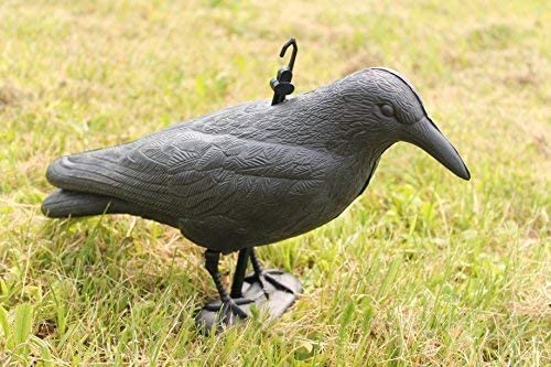 Spaventa passeri repellente per giardino e balcone Figura a forma di corvo