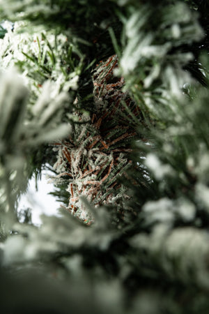 Albero di Natale Slim innevato "Fred" in PE Effetto Real Touch + PVC + Flock