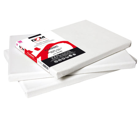 Tela Pittura Classic 30X40Cm Bianco Dom