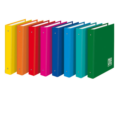 Raccoglitore 4 Anelli D30 26X32Cm One Color 2400 Blasetti