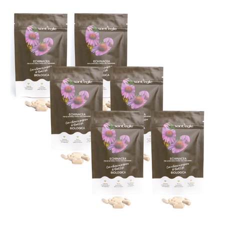 Echinacea Purpurea biologica, 90 capsule