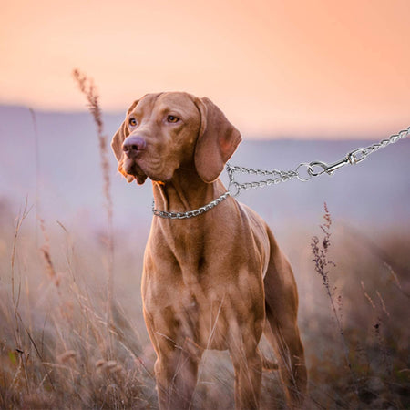 Collare a scaletta semi strozzo in acciaio nichelato per cani