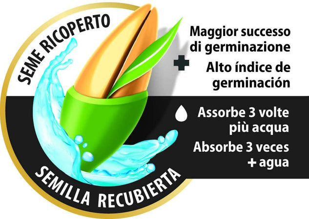 Seme "Prato al Sole" tappeto erboso per terreni secchi ed esposti al sole