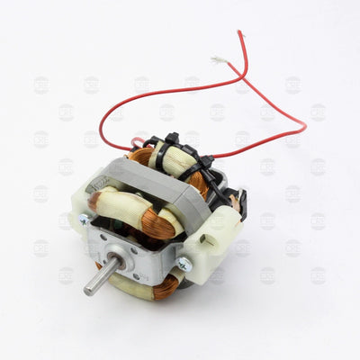 Motore Johnson per Phon Asciugacapelli Tormalionic, Diva, Turbostar, Vip Coiffer, Ion Ceramic