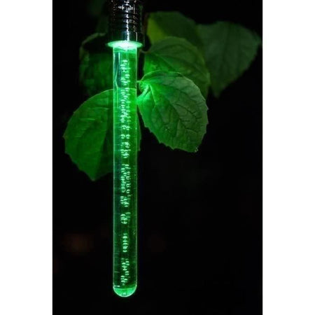 Lanterna Solare a Bastone - GARDEN ID Cristal - 22 cm - Cambia colore - Autonomia 6-8 ore - Batteria ricaricabile.