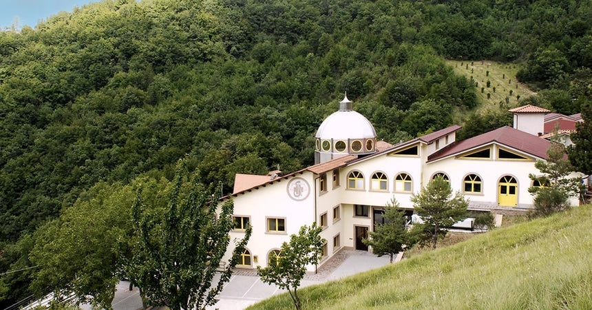 Dr Giorgini Integratore Alimentare, Elasticus Pastiglie - 90 g