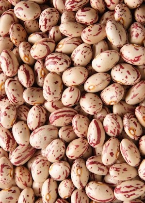 5Kg Fagioli Borlotti Lamon "Origine Italia"