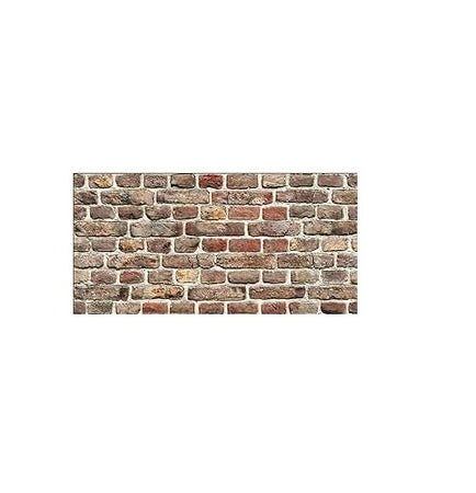 POLIMARK - PLASTONDA LASTRA POLIPROPILENEEFFETTO DECORATIVO DECOR LEGNO 50X100 MM 3 COD. 8010