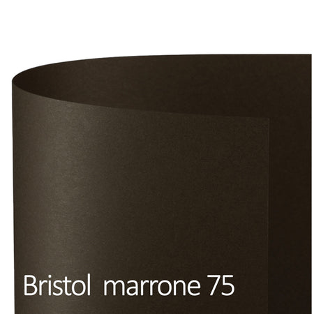 Conf.10 Cartoncino Bristol Color 200Gr 100X70Cm Marrone 75 Favini