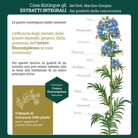 Dr Giorgini ASHWAGANDHA ESTRATTO INTEGRALE 200 ml Liquido analcoolico - Dr. Giorgini