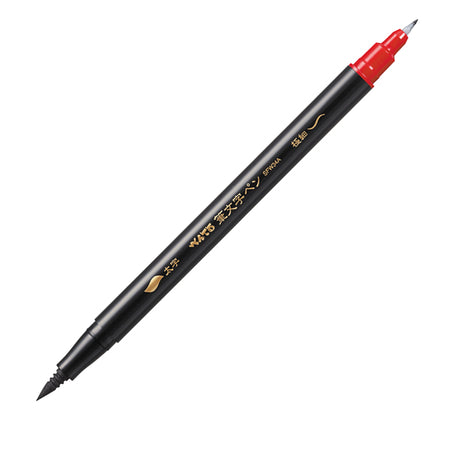 Penna A Doppia Punta Per Disegnare E Illustrare Inchiostro Nero Pentel