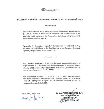 Champion Legacy Icons - Heavy Spring Terry Felpa con Cappuccio, Verde Bosco, Uomo