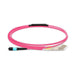 Fiber Patch Cable - 8 cores