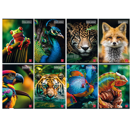 Maxiquaderno A4 80Gr 40+2Fg Rigo Di 3A Animal Pigna