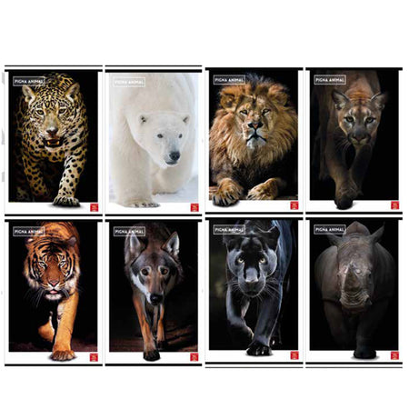 Maxiquaderno A4 80Gr 40+2Fg 5Mm Animal Pigna