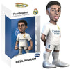 belligham