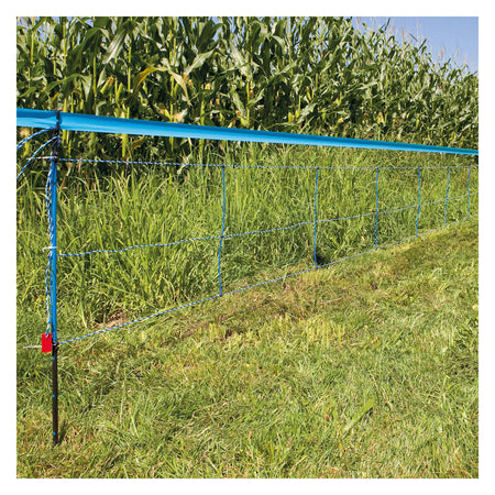 Rete recinto elettrico Blu per cinghiali h 90 cm x 50 mt