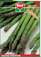 Asparago Argenteuil