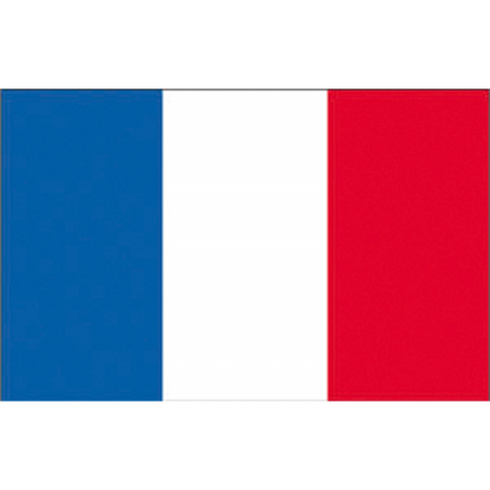 Bandiera Francia Cm.80X120