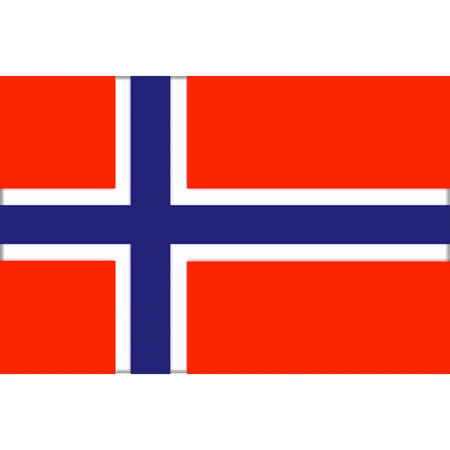 Bandiera Norvegia Cm.20X30