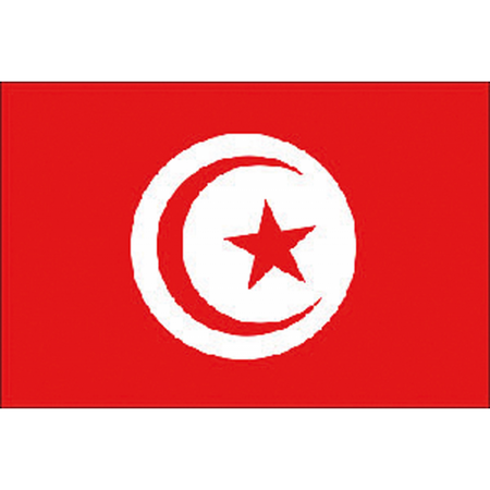 Bandiera Tunisia Cm.30X45