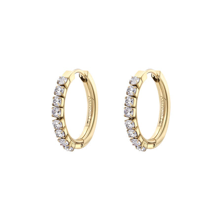 Orecchini Brosway Desideri BEIE013