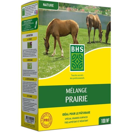 Prato - BHS - Meadow Mix 1kg 40m Per grandi superfici e pascoli Rapido da installare, durevole, non richiede manutenzione.
