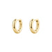 Orecchini Brosway Perfect BPC43