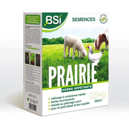BSI - Semi di erba - Prato - Alta qualità - Ampia area - Fino a 375 m - 7,5 kg