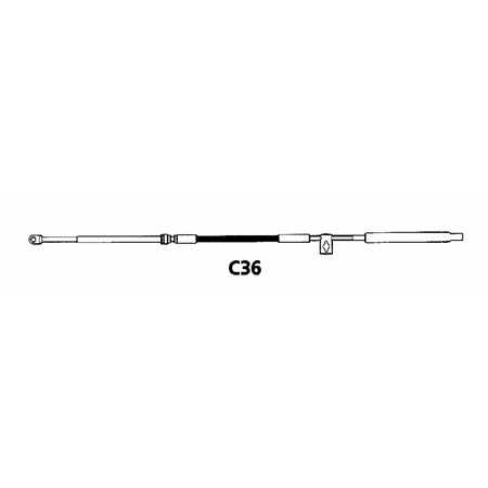 Cavo C36 Da 10'