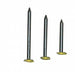 Chiodi T/Ottone 1,4X25 Acciaio Conf Pz100