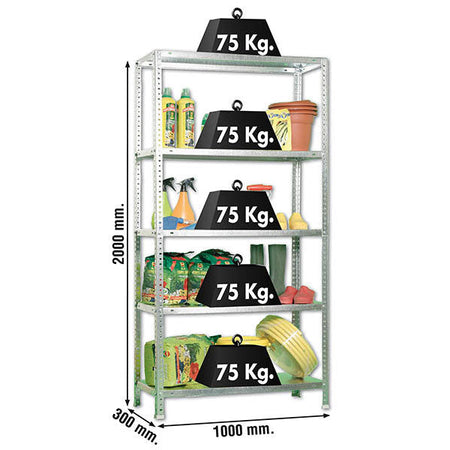 ADVANTAGE PLUS 5/300 GALVANIZADO