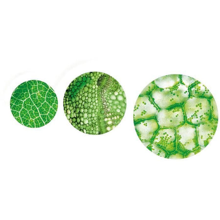 Clementoni - Scienza e Gioco - Super Microscopio Professionale - Da 8 anni in su