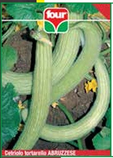 Cetriolo Tortarello Abruzzese gr.8 Semi Four
