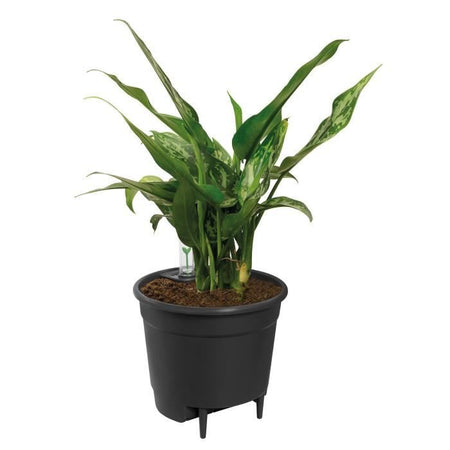 Elho Vaso da fiori con inserto autoirrigante 33 - Nero - 33 x H 31 cm - Accessori interni - 100% riciclato