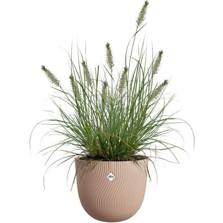 Vaso per fiori - ELHO - Sereh Round 30 - Marrone - L 30 x P 29,5 x H 25 cm - 100% riciclato
