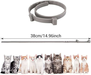 collare antipulci gatto