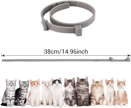 collare antipulci gatto