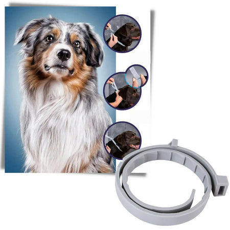 COLLARE ANTIPULCI ZECCHE INSETTI CANE MEDIO GRANDE