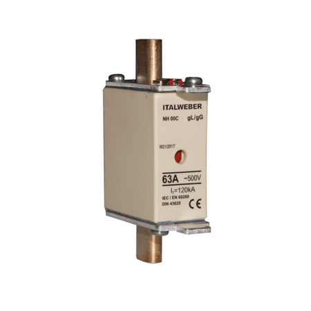 Fusibile 100 Amp.