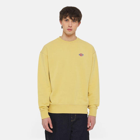 Felpa Dickies Millesburg crewneck fall