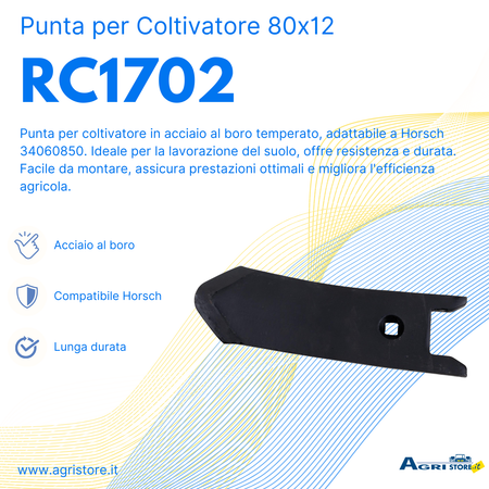 Punta per ancora coltivatore adattabile Horsch 34060850 80x12