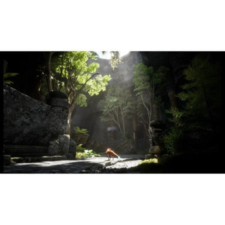 Videogioco d'avventura - Silver Lining - Spirit of the North 2 - PS5 - PEGI 12 - In scatola