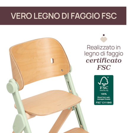04087149160000_416_087149_416_MERAVIGLIA_Olive_IT9_1280x1280