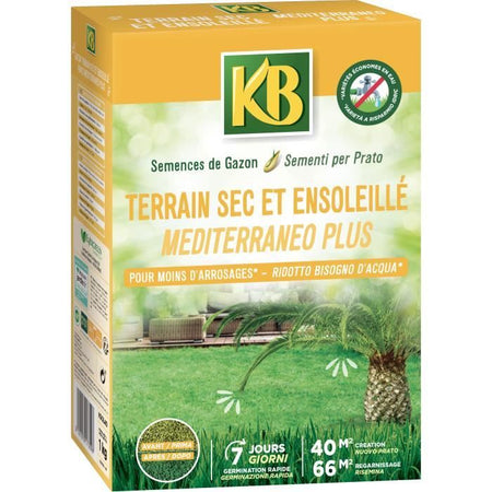 KB - Semi di erba - Terreno asciutto e soleggiato 40m