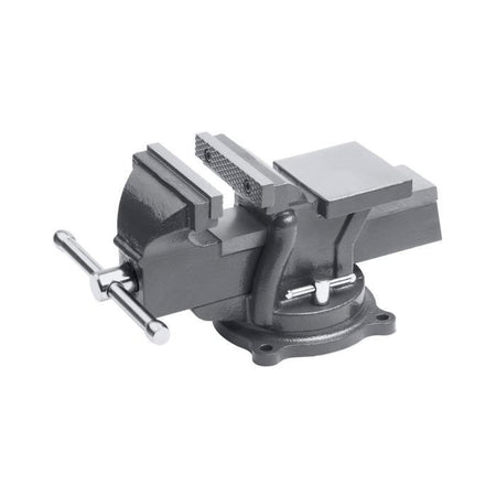 MEISTER Etau base giocabile 100 mm