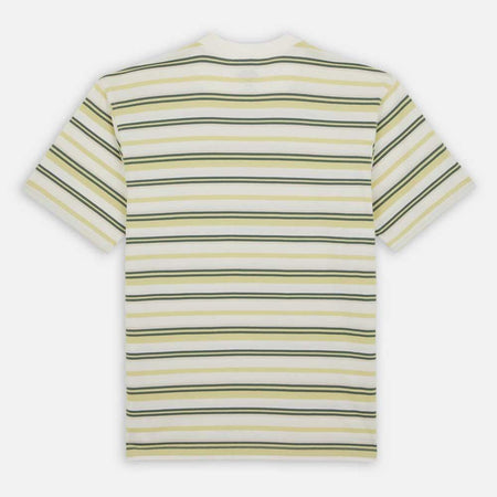 Maglietta T-shirt Dickies Glad Spring white stripe