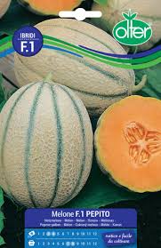 Melone F1 Pepito